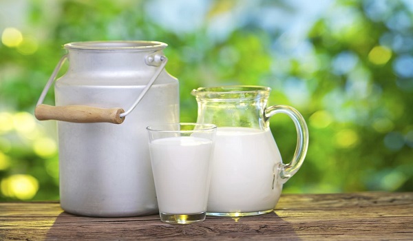 Κατσικίσιο ή αγελαδινό γάλα; Ποιο είναι πιο θρεπτικό και πρέπει να προτιμήσεις;