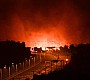 Φωτιές: Δεν καίγονται απλώς δέντρα, χάνεται η ζωή - Οι σοβαρές επιπτώσεις στον πλανήτη