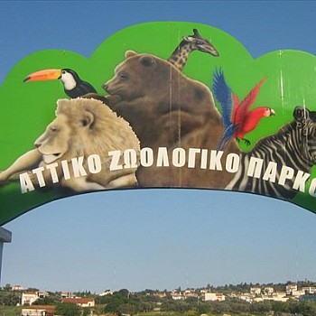 Αττικό Ζωολογικό Πάρκο: Άνοιξε για τους επισκέπτες - Μόνο με ηλεκτρονικό εισιτήριο και κατόπιν ραντεβού