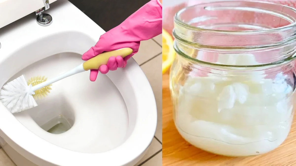 Το απλό κόλπο με ξύδι στο καζανάκι που λύνει ένα τεράστιο πρόβλημα για τα νοικοκυριά