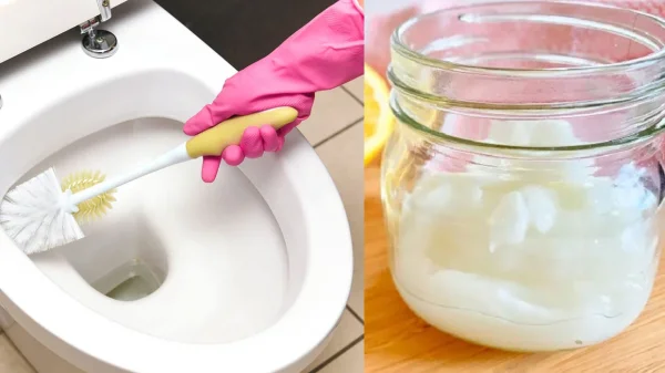 Το απλό κόλπο με ξύδι στο καζανάκι που λύνει ένα τεράστιο πρόβλημα για τα νοικοκυριά