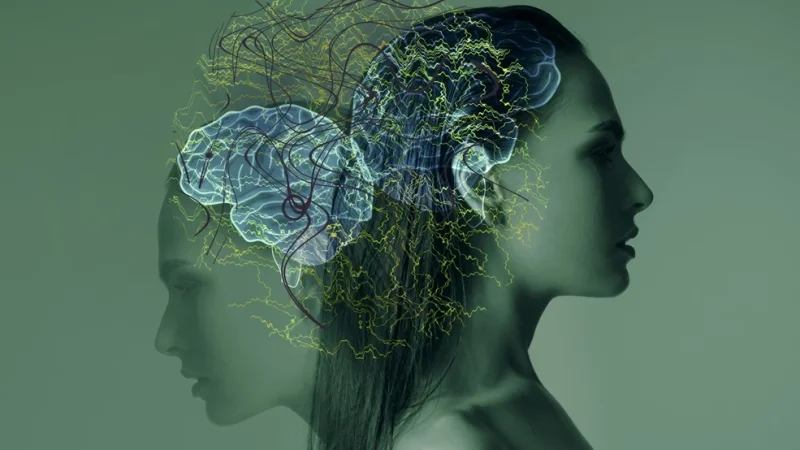 Αγχώδης διαταραχή και διατροφή: Νέα έρευνα συνδέει τα συμπτώματα με χαμηλά επίπεδα χολίνης στον εγκέφαλο