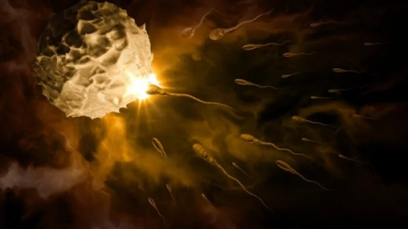 Αριθμός σπερματοζωαρίων: Τι δείχνει για την υγεία του άνδρα