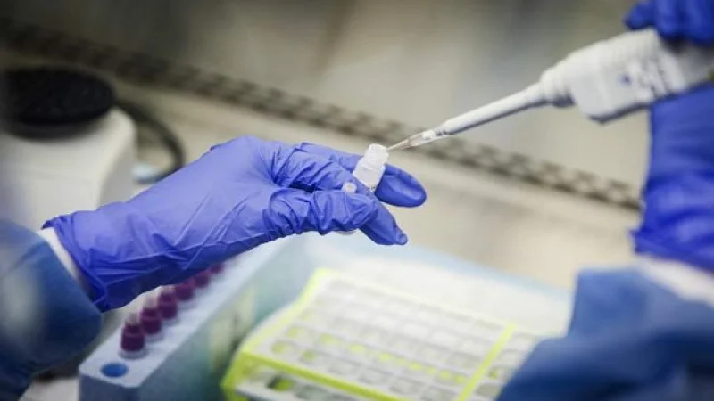 Καθηγητής ΑΠΘ: Έως 700 κρούσματα τον Νοέμβριο αν δεν ληφθούν μέτρα