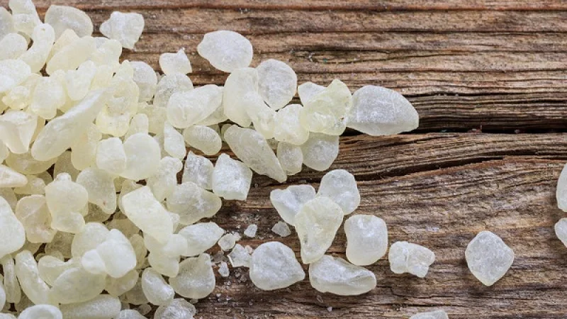 Διατροφή με υπερτροφές: 14 ελληνικά superfoods που ενισχύουν την υγεία μας