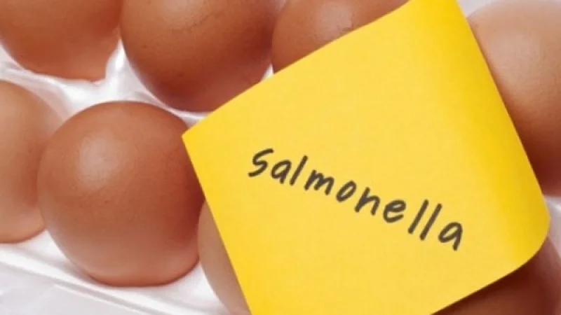 Σαλμονέλα: Πως μεταδίδεται και τι συμπτώματα προκαλεί – Ποιοι κινδυνεύουν από επιπλοκές
